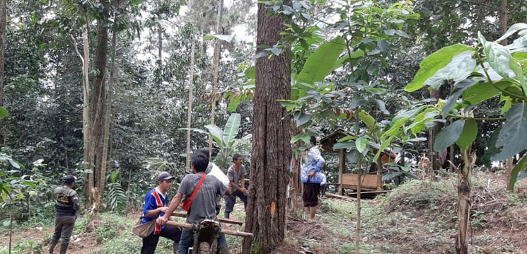 Sehari Tersesat Survivor di Sumedang Berhasil Ditemukan