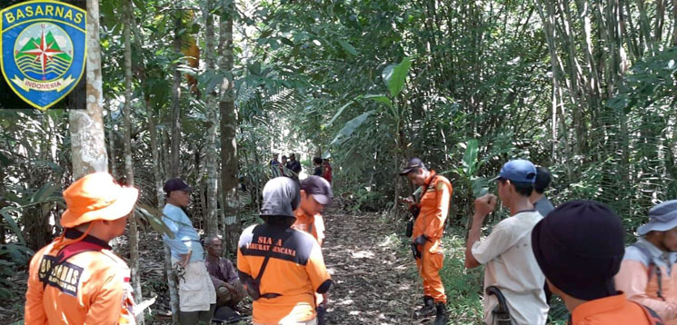 Tim SAR Gabungan Belum Temukan Survivor yang Tersesat di Hutan Desa Cijambu