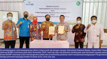 Bersama bank bjb Pangandaran Siap Jadi Sentra Kapulaga Dunia 3