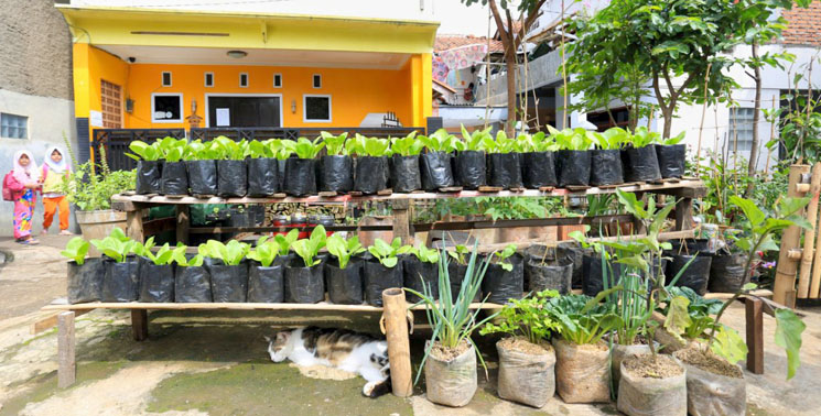 Pemuda Mandiri Rw 07 Sukawarna Berdaya Lewat Buruan SAE 1