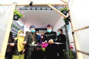 Oded M Danial pun turut serta memanen hasil sayuran sekaligus meresmikan