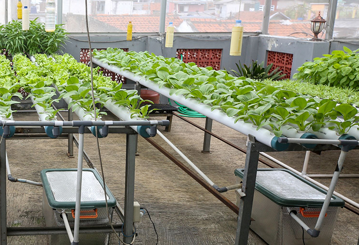 Inovasi Bank Sampah Sekolah Babakan Ciparay Siap Diadopsi Jadi Program Kota Bandung