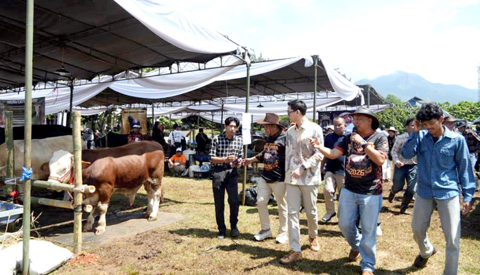 Gebyar Ternak Padjadjaran Ajang Strategis Dorong Peternak Lokal Naik Kelas